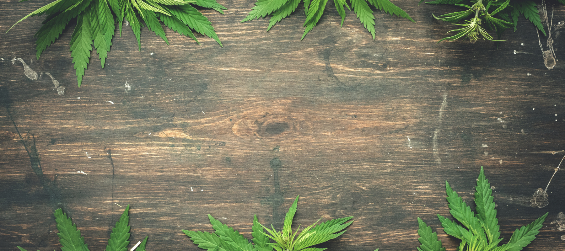 Best Online Headshop Canada