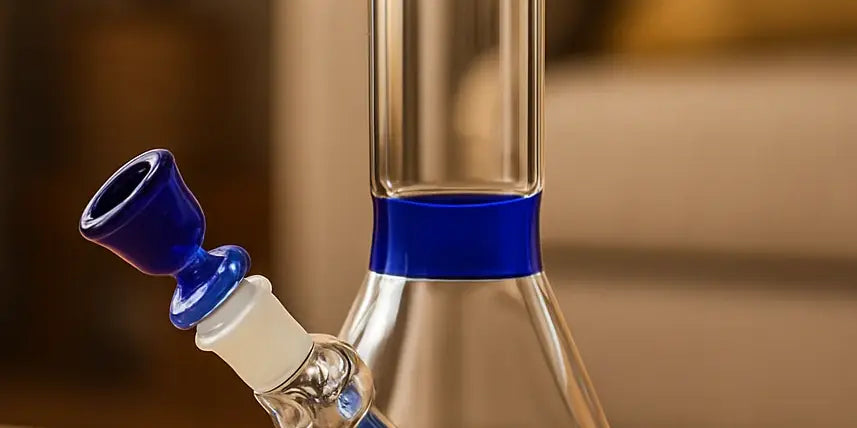 Best Bongs For Beginners In 2025