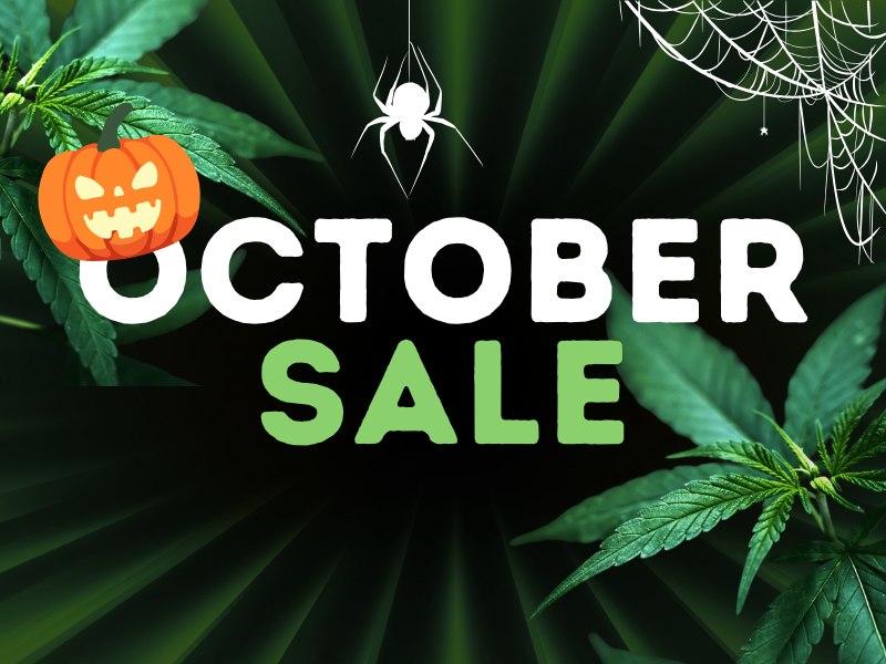 bongs on sale october