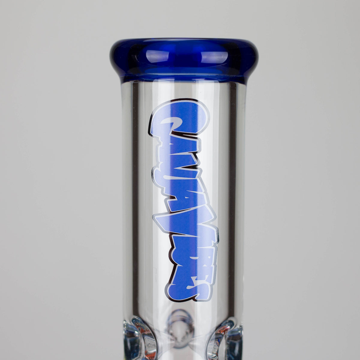 Glass Neck of the GanjaVibes Double Disk Honeycomb Perc Bong