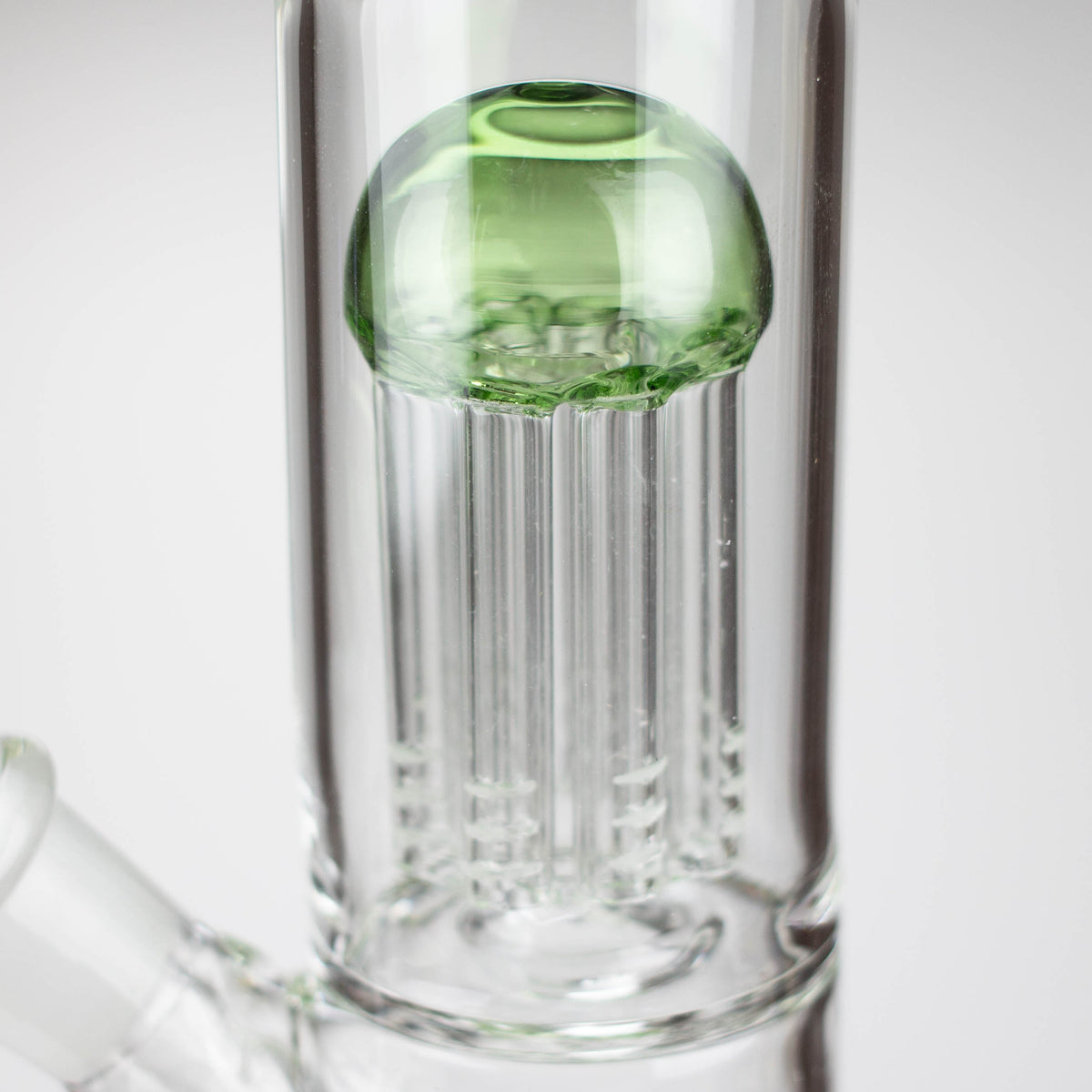 Tree Arm Percolator in the 12 Inch Straight Tube Glass Bong