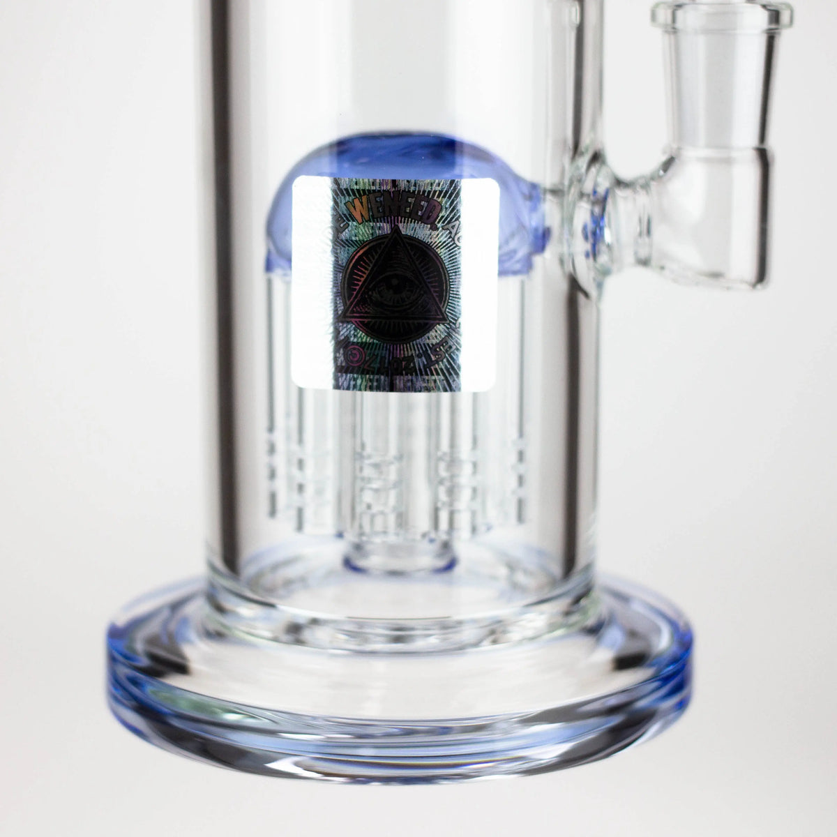 Glass Base of the WENEED 10 inch Tree Perc Bong